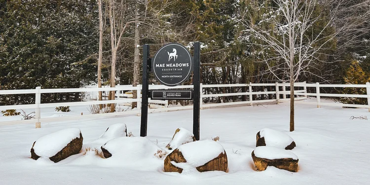 Mae Meadows Equestrian